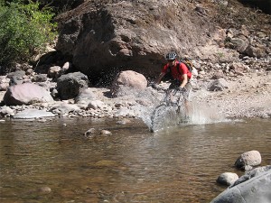 Flickr Mountain Bike